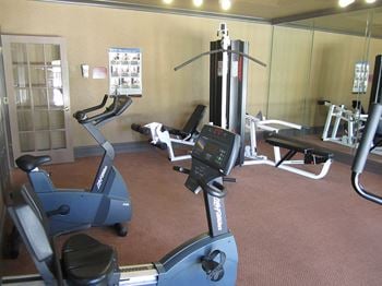 Gym equipment